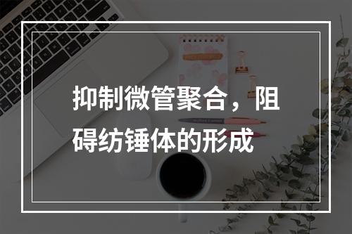 抑制微管聚合，阻碍纺锤体的形成