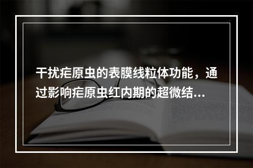 干扰疟原虫的表膜线粒体功能，通过影响疟原虫红内期的超微结构，