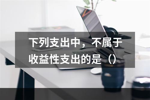 下列支出中，不属于收益性支出的是（）