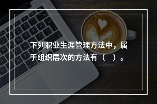 下列职业生涯管理方法中，属于组织层次的方法有（　）。