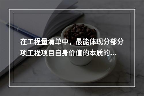 在工程量清单中，最能体现分部分项工程项目自身价值的本质的是（