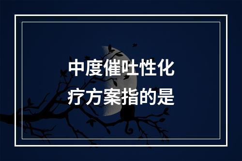 中度催吐性化疗方案指的是