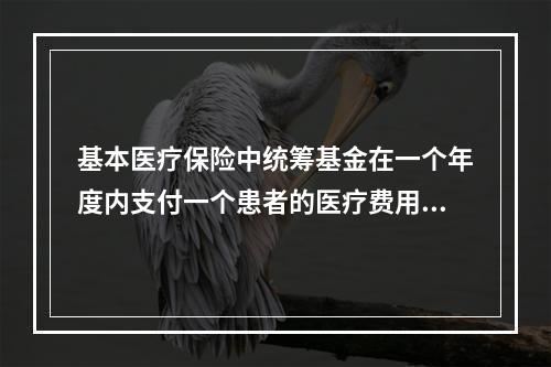 基本医疗保险中统筹基金在一个年度内支付一个患者的医疗费用到