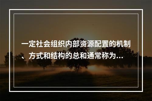 一定社会组织内部资源配置的机制、方式和结构的总和通常称为（）