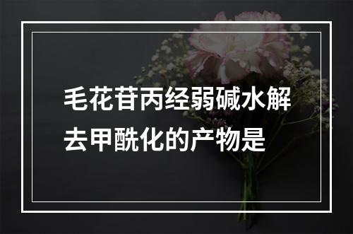 毛花苷丙经弱碱水解去甲酰化的产物是