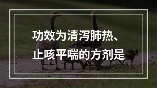 功效为清泻肺热、止咳平喘的方剂是