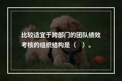 比较适宜于跨部门的团队绩效考核的组织结构是（　）。