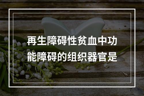 再生障碍性贫血中功能障碍的组织器官是