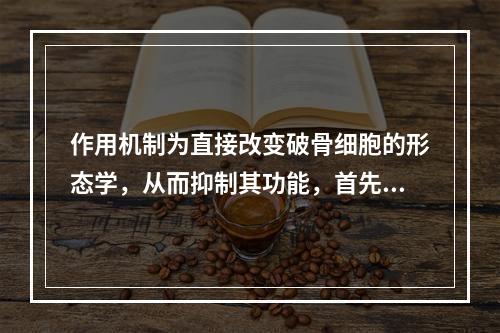 作用机制为直接改变破骨细胞的形态学，从而抑制其功能，首先阻止