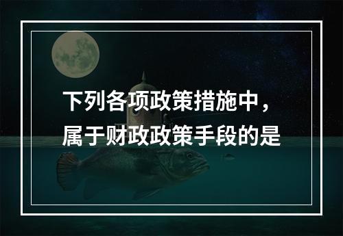 下列各项政策措施中，属于财政政策手段的是