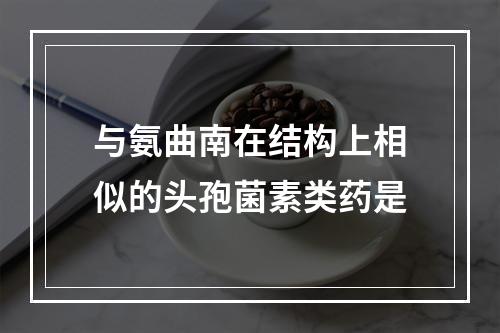 与氨曲南在结构上相似的头孢菌素类药是