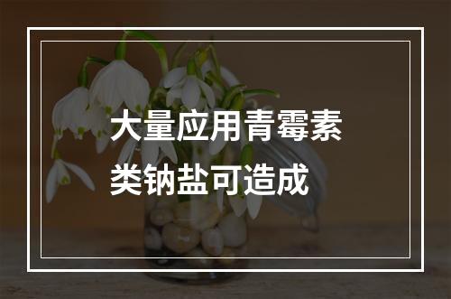 大量应用青霉素类钠盐可造成