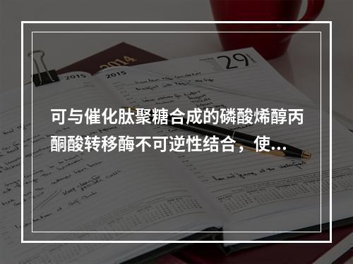 可与催化肽聚糖合成的磷酸烯醇丙酮酸转移酶不可逆性结合，使该酶