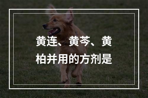 黄连、黄芩、黄柏并用的方剂是