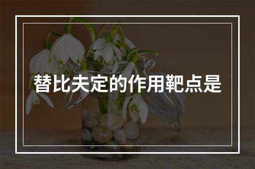 替比夫定的作用靶点是