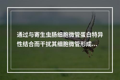 通过与寄生虫肠细胞微管蛋白特异性结合而干扰其细胞微管形成，可