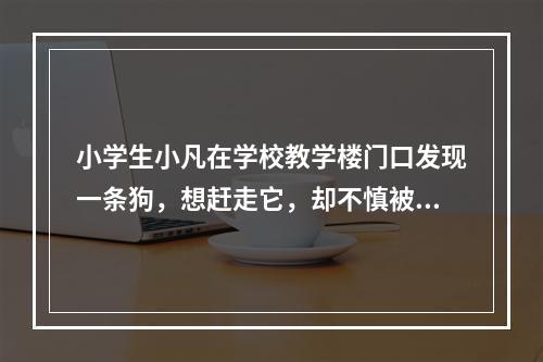 小学生小凡在学校教学楼门口发现一条狗，想赶走它，却不慎被咬伤