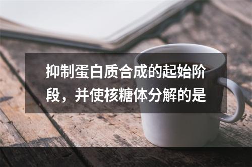 抑制蛋白质合成的起始阶段，并使核糖体分解的是