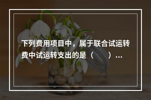 下列费用项目中，属于联合试运转费中试运转支出的是（　　）。