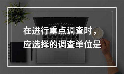 在进行重点调查时，应选择的调查单位是