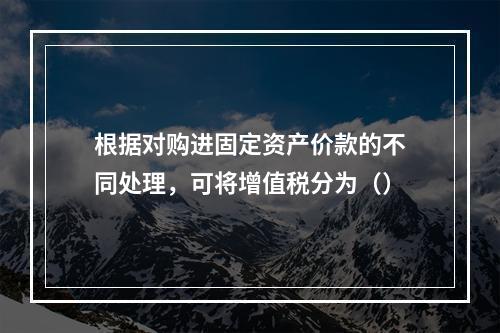 根据对购进固定资产价款的不同处理，可将增值税分为（）