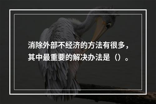 消除外部不经济的方法有很多，其中最重要的解决办法是（）。