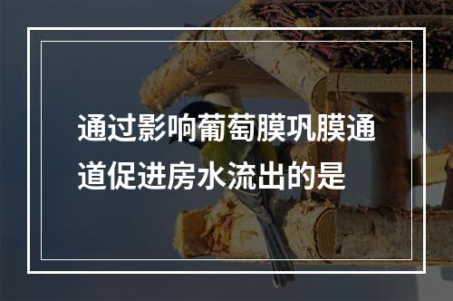 通过影响葡萄膜巩膜通道促进房水流出的是