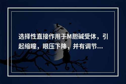 选择性直接作用于M胆碱受体，引起缩瞳，眼压下降，并有调节痉挛