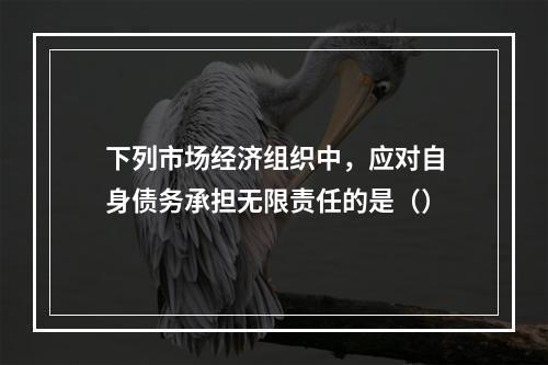 下列市场经济组织中，应对自身债务承担无限责任的是（）