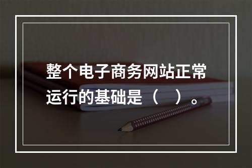 整个电子商务网站正常运行的基础是（　）。