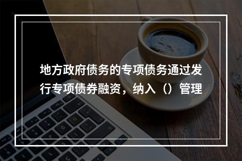 地方政府债务的专项债务通过发行专项债券融资，纳入（）管理