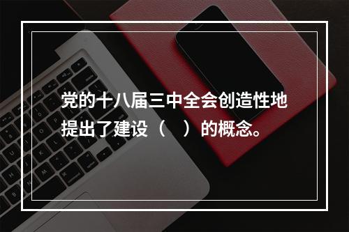 党的十八届三中全会创造性地提出了建设（　）的概念。