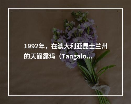 1992年，在澳大利亚昆士兰州的天阁露玛（Tangaloom