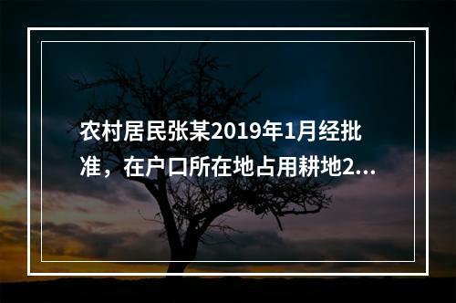 农村居民张某2019年1月经批准，在户口所在地占用耕地250