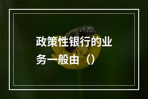 政策性银行的业务一般由（）