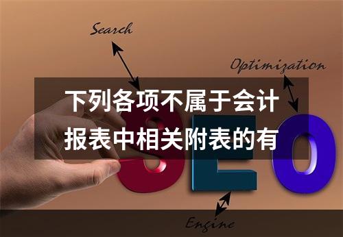 下列各项不属于会计报表中相关附表的有