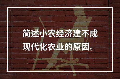 简述小农经济建不成现代化农业的原因。