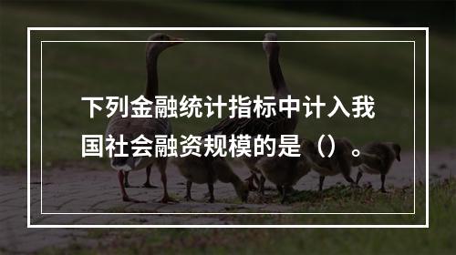 下列金融统计指标中计入我国社会融资规模的是（）。