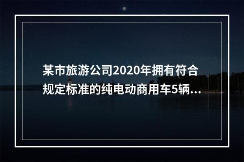 某市旅游公司2020年拥有符合规定标准的纯电动商用车5辆，符