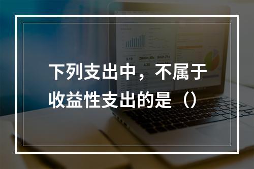 下列支出中，不属于收益性支出的是（）