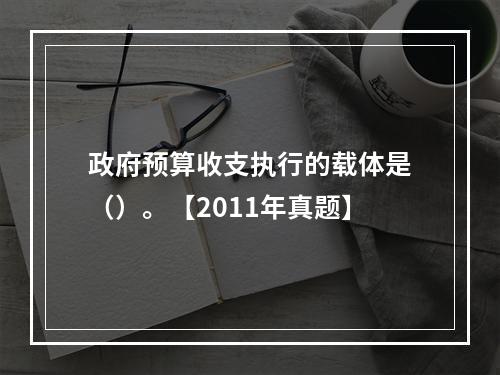 政府预算收支执行的载体是（）。【2011年真题】