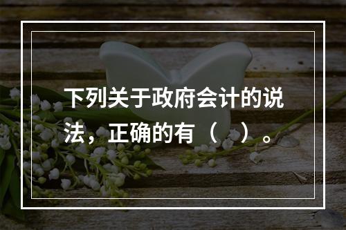 下列关于政府会计的说法，正确的有（　）。