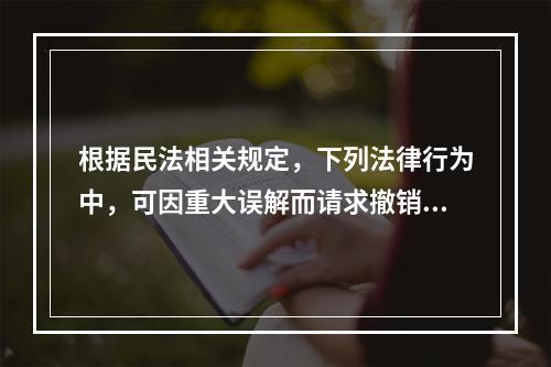 根据民法相关规定，下列法律行为中，可因重大误解而请求撤销的有