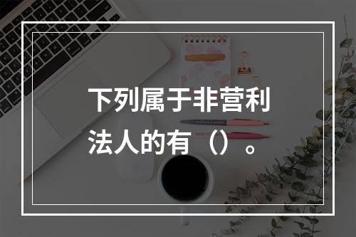 下列属于非营利法人的有（）。