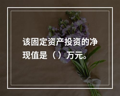 该固定资产投资的净现值是（	）万元。