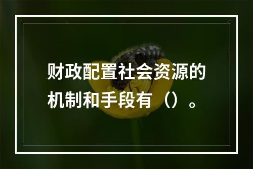 财政配置社会资源的机制和手段有（）。