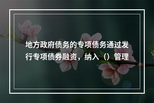 地方政府债务的专项债务通过发行专项债券融资，纳入（）管理