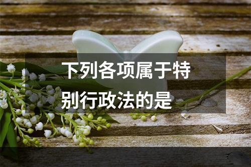 下列各项属于特别行政法的是