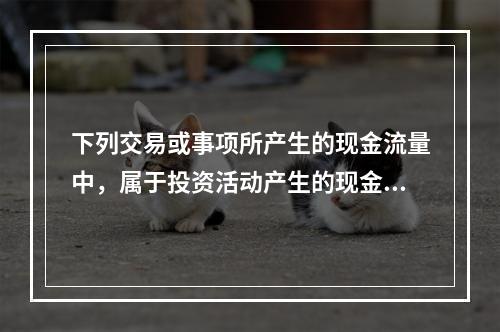 下列交易或事项所产生的现金流量中，属于投资活动产生的现金流量