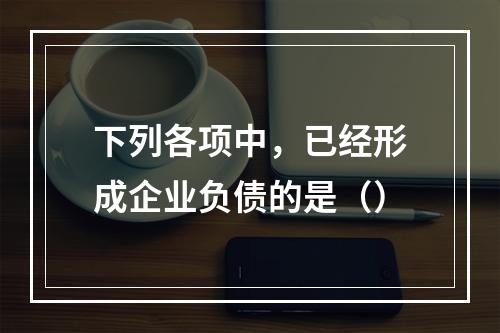 下列各项中，已经形成企业负债的是（）